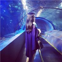 纯纯的记忆